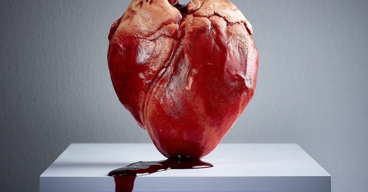 Everything You Need to Know About Heart Disease