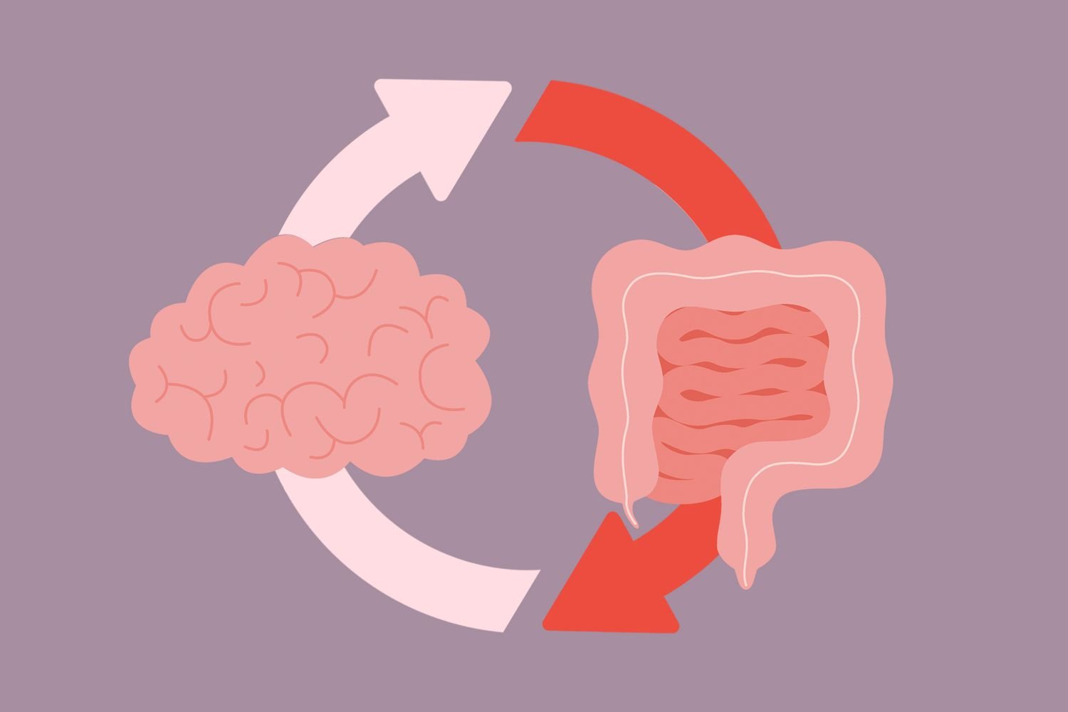 Can a Healthy Gut Help Manage Your Anxiety?